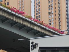 -牛市口盲人按摩(舒康分院)