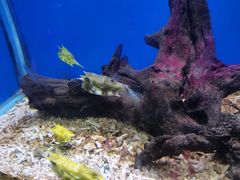 -海合安青岛极地海洋公园