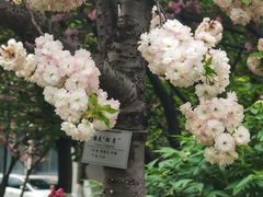 -江南大学(蠡湖校区)
