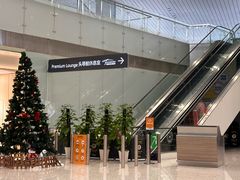 -广州白云国际机场-T2航站楼