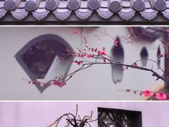 -梅花山(明孝陵内)