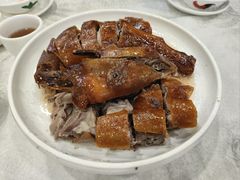 -长润·濑尿烧鹅