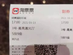 -枫花园汽车电影院(朝阳公园店)