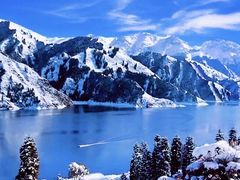 -新疆天山野生动物园