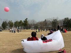 -盘龙城国家考古遗址公园