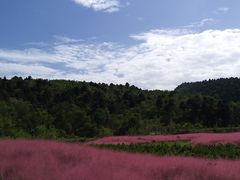 -玉华宫景区