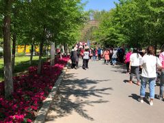 -长白岛森林公园