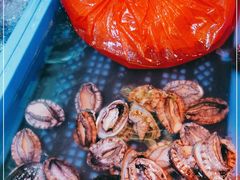 -细村农贸综合市场