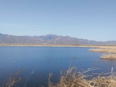 -野鸭湖国家湿地公园