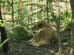 -哈尔滨北方森林动物园