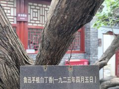 -北京鲁迅博物馆(北京新文化运动纪念馆鲁博馆区)