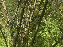 -昆明冠生园·蛋糕·面包(南强街店)