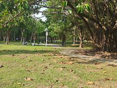 -深圳湾公园(南山区)
