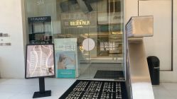 点击看大图 -金棕榈