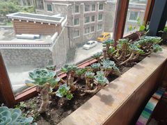 -四姑娘山阿巴郎·藏式花园餐厅