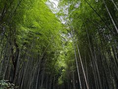 -苏州环秀晓筑养生度假村