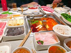 -海底捞大排档火锅(悦荟广场店)