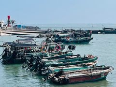 -硇洲岛旅游区