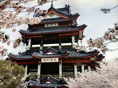 -蜜桃餐厅·伴山(绿宝广场店)