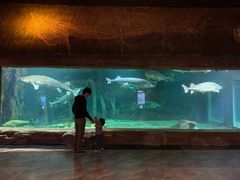 -华夏文旅海洋公园