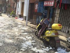 -殷姐糯米包油条