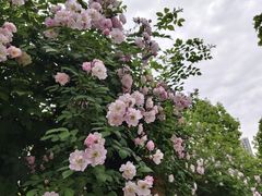 -十堰高级职业学校