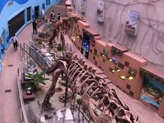 -陕西自然博物馆