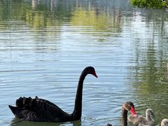 -扬州大运河文化旅游度假区·盆景园