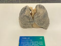 -生命奥秘博物馆