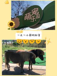 -萌宠亲子动物乐园(槐房万达店)