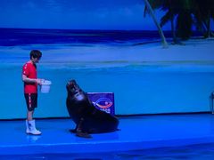 -乌鲁木齐海洋馆