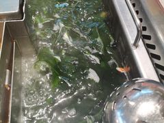 -海底捞火锅(百利广场店)