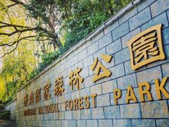 -潜山国家森林公园