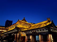 -天龙宝严素食馆(大兴善寺店)