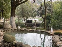 -三江森林温泉度假区