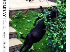 -东寨港红树林旅游区