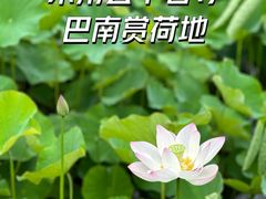 -西流沱小镇