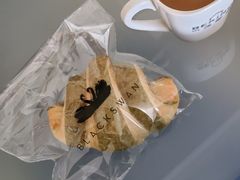 -BLACKSWAN黑天鹅(环球店)