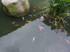 -阳春市花园酒店
