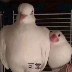 -花师傅穿孔·手穿·耳洞吧