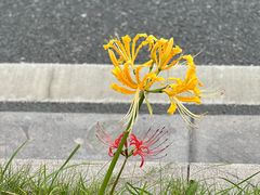 -杭州黄龙洞