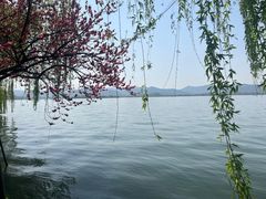 -西湖天地