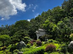 -顺峰山公园