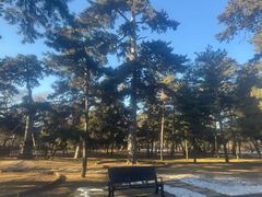 -沈阳市东陵公园
