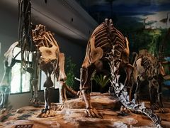 -自贡恐龙博物馆