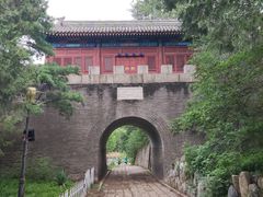 -云岗森林公园