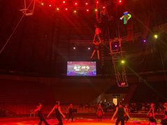 -俄罗斯国家大马戏团