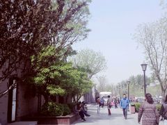 -龙湖星悦荟(颐和店)