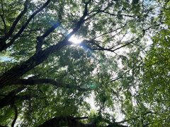 -苏州吴中太湖旅游区