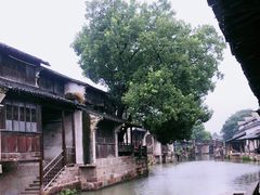 -乌镇东栅景区